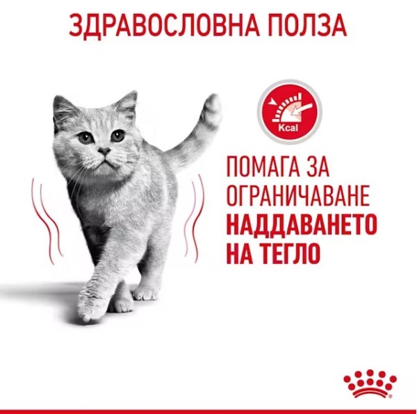 Royal Canin Cat Light Weight - Пълноценна суха храна за котки за предотратяване натрупването на наднормено тегло
